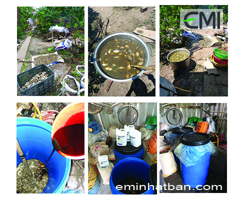 Cách ủ đạm cá bằng EMINA Cách ủ đạm cá bằng EMINA