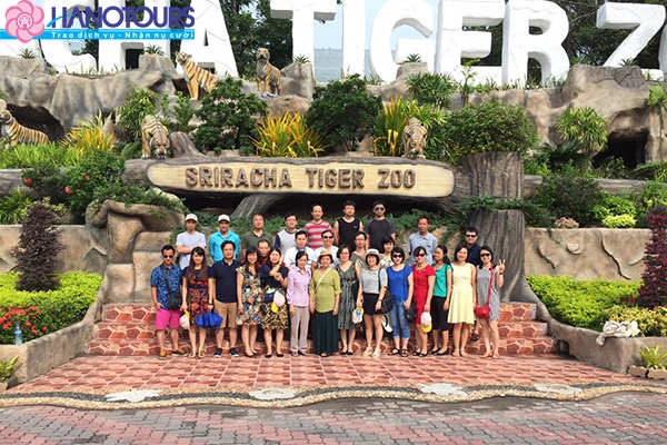 Trại hổ Tiger ở Thái Lan