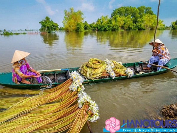 Kinh nghiệm du lịch miền tây sông nước giá rẻ