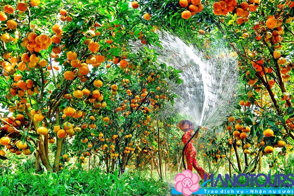 trai-nghiem-tại-miet-vuon-khi-du-lich-mien-tay