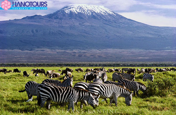 amboseli_national_park