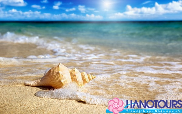 kham-pha-bai-sao-khi-di-du-lich-phu-quoc