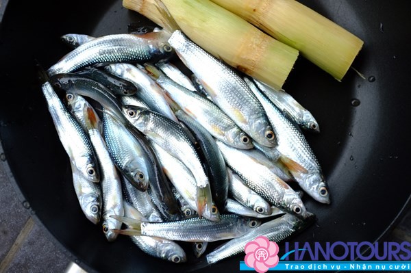 Những trải nghiệm đặc sắc của miền tây mùa nước nổi