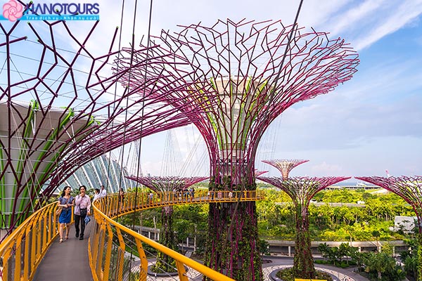 Vườn thực vật Garden by the Bay