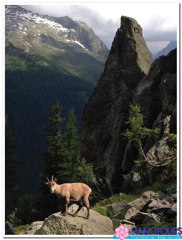 công viên bảo tồn