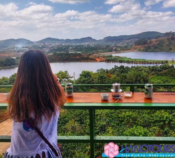 Những lưu ý cần biết khi đi săn hoa dã quỳ Đà Lạt