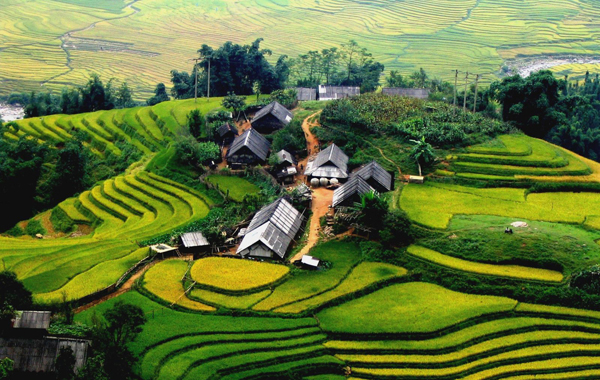 Nên du lịch Sapa vào mùa nào?