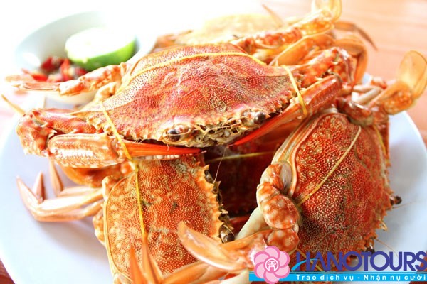 Ghẹ Hàm Ninh - món ăn tuyệt vời khi du lịch Phú Quốc