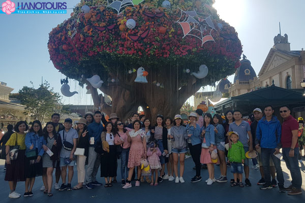 Cây tình yêu tại Everland Hàn Quốc