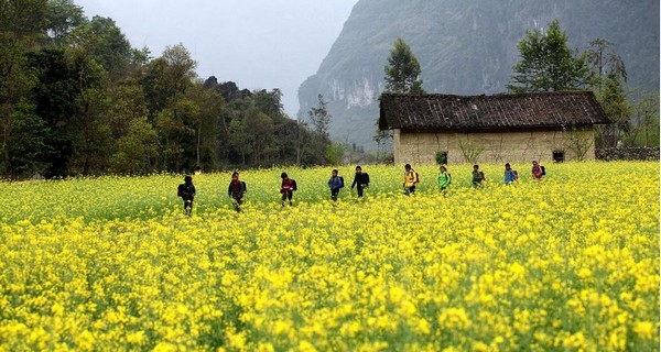 Cánh đồng hoa cải Hà Giang