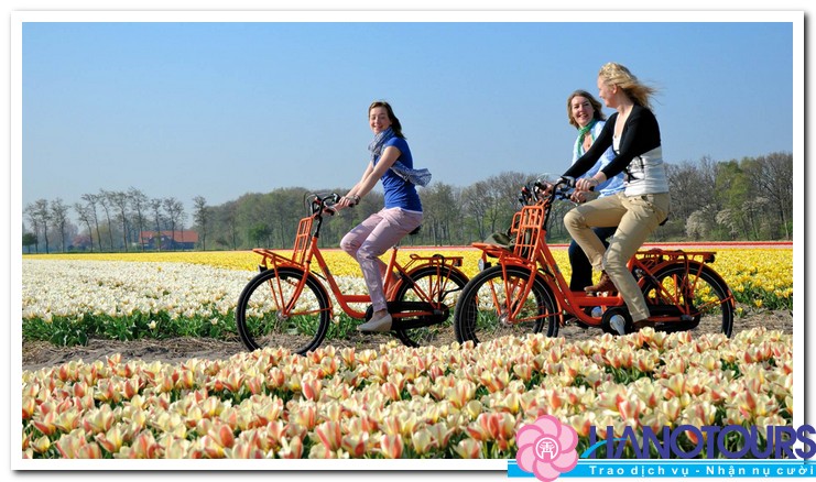 Le-hoi-hoa-Aalsmeer-2016-tai-Ha-Lan