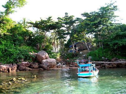 may-rut-trong-dao-phu-quoc