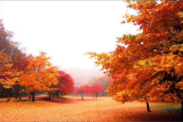 Những đất nước tuyệt đẹp cho chuyến du lịch mùa thu