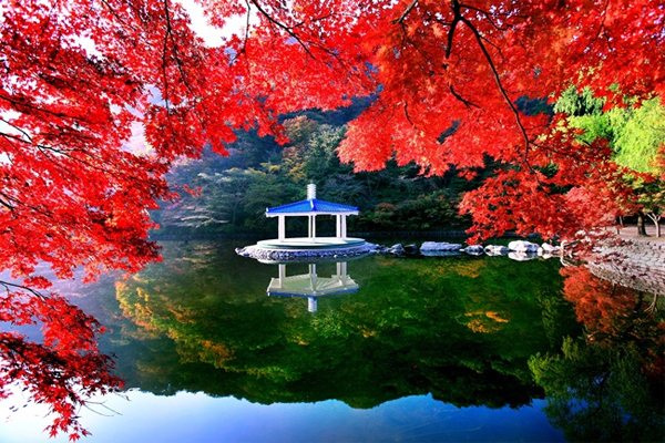 Công viên Naejangsan National Park