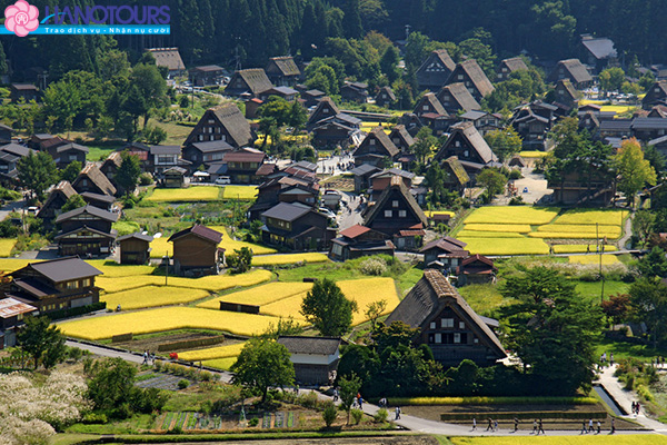 ngôi làng Shirakawago