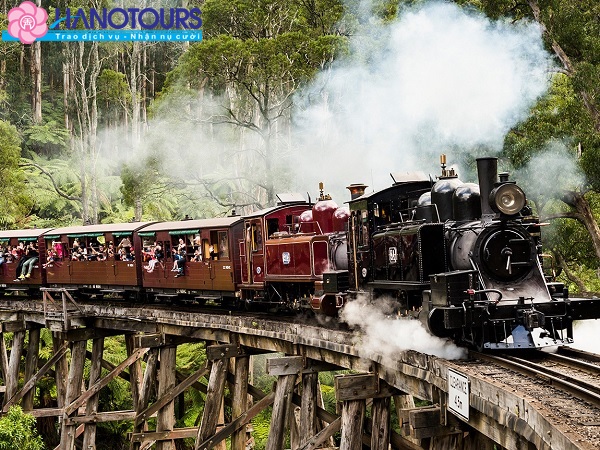 Trải nghiệm trên chuyến tàu lửa hơi nước Puffing Billy tham quan công viên quốc gia Dandenong