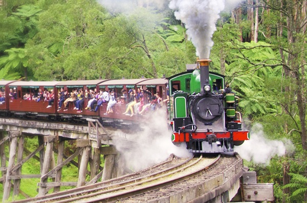 Trải nghiệm trên chuyến tàu lửa hơi nước Puffing Billy