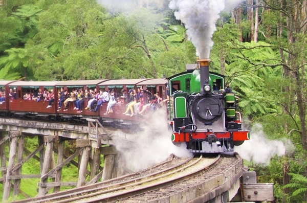 Trải nghiệm trên chuyến tàu  lửa hơi nước Puffing Billy 