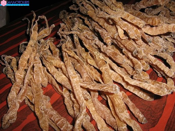 Sá sùng Côn Đảo