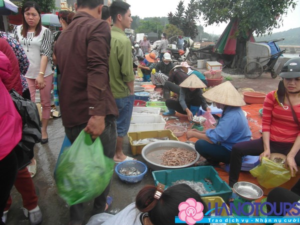 kinh-nghiem-du-lich-co-to-cho-hai-san-co-to