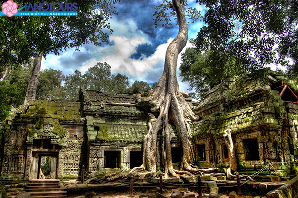 Ta Prohm - một phế tích kinh thành Khmer cổ