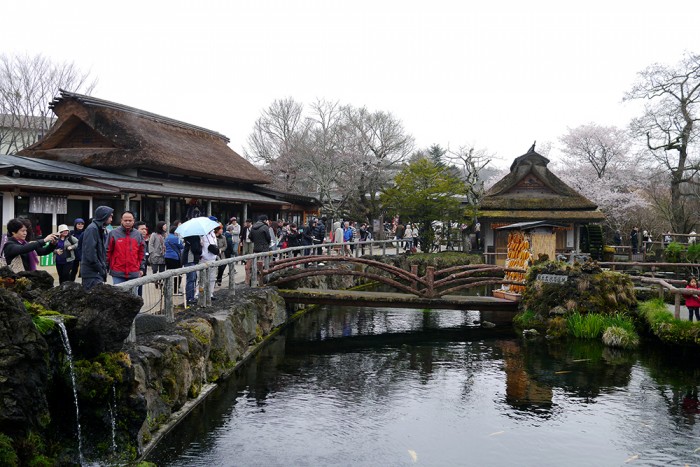 Quý khách đến thăm ngôi đền cổ Asakusa