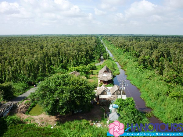 địa điểm du lịch Cà Mau Rừng quốc gia U Minh hạ