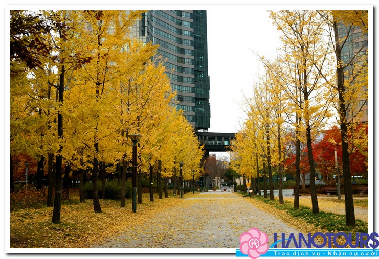 Những điểm đến trong mùa thu của Hàn Quốc