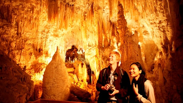 Waitomo Caves