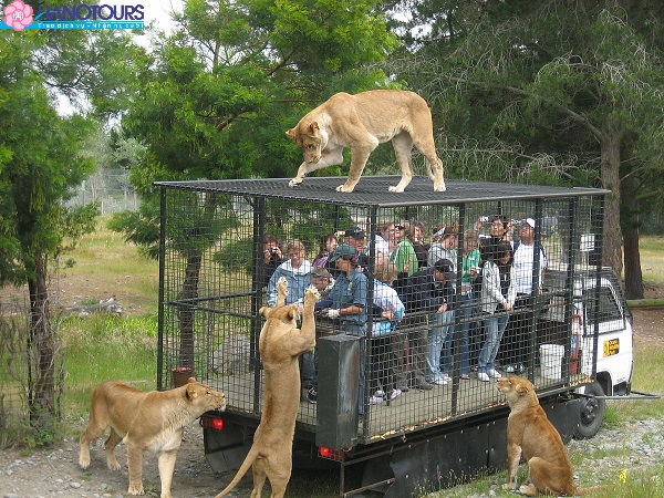 Wildlife Park