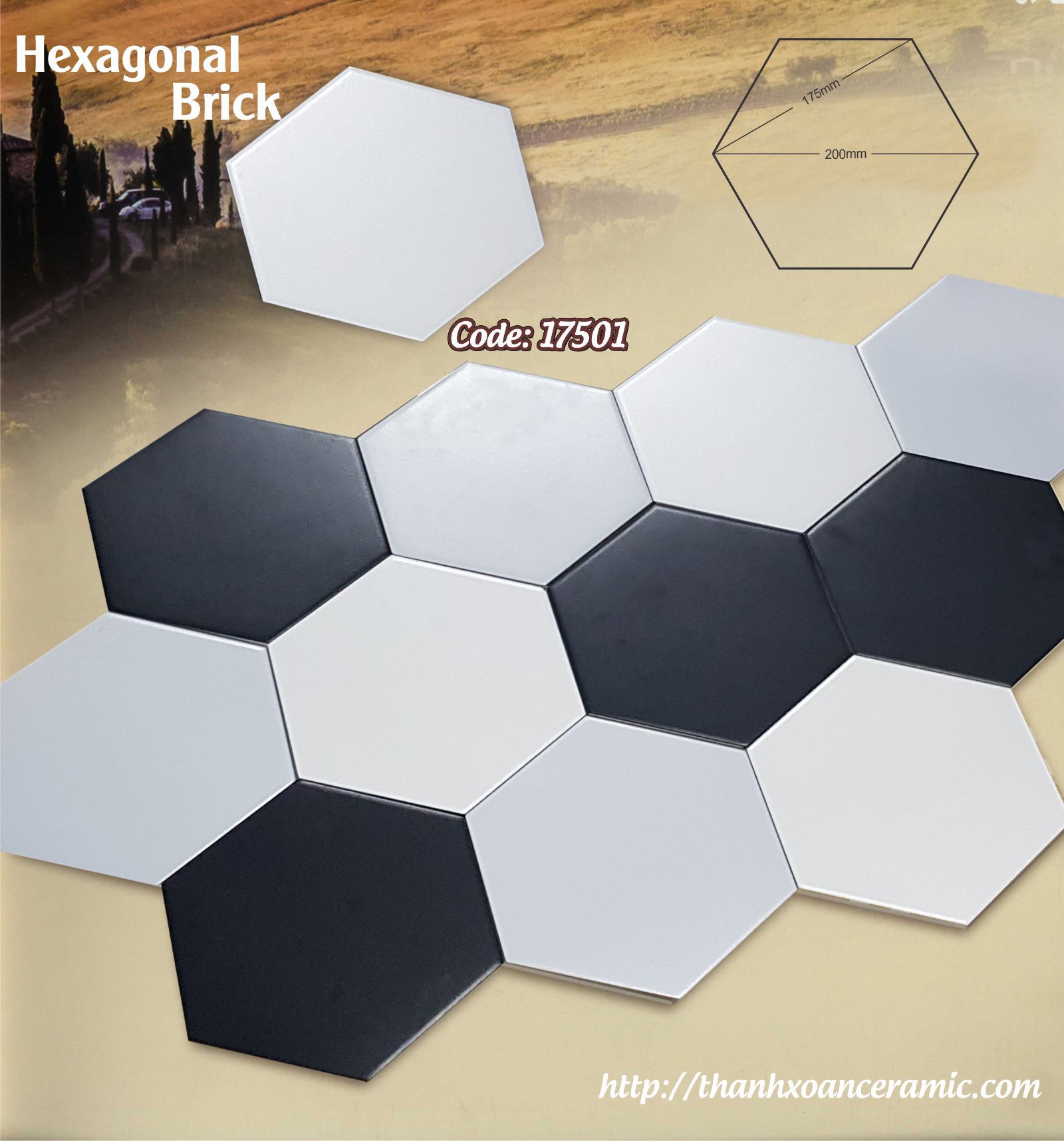 GẠCH LỤC GIÁC NK 175x200 PORCELAIN: 17501 GẠCH LỤC GIÁC NK 175x200 PORCELAIN: 17501