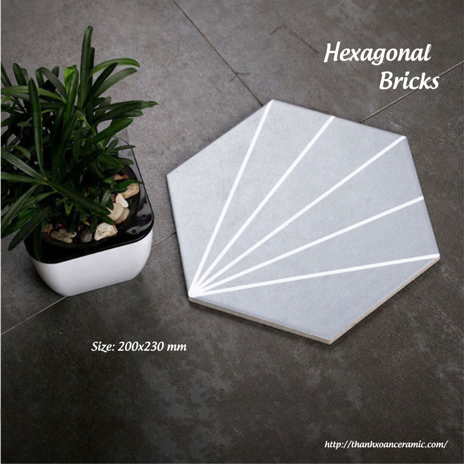 GẠCH LỤC GIÁC NK 20x23 PORCELAIN: 3D031 GẠCH LỤC GIÁC NK 20x23 PORCELAIN: 3D031