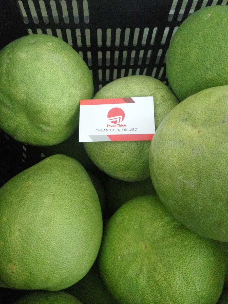 Bưởi 5 roi