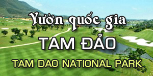 cho-thue-xe-du-lich-tam-dao-khac-biet-chuyen-nghiep