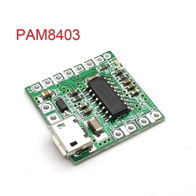 PAM8403 Module mini USB