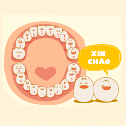 Trẻ chậm mọc răng, canxi đi đâu?