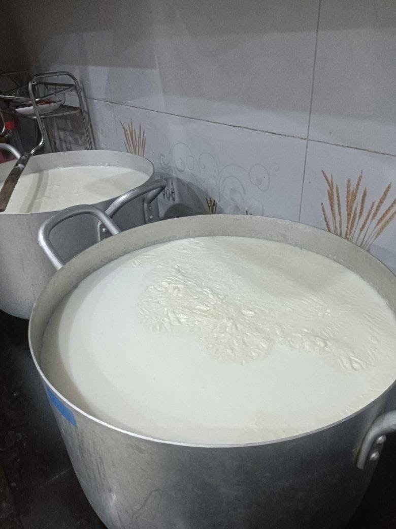 cách nấu sữa bò tươi nguyên chất