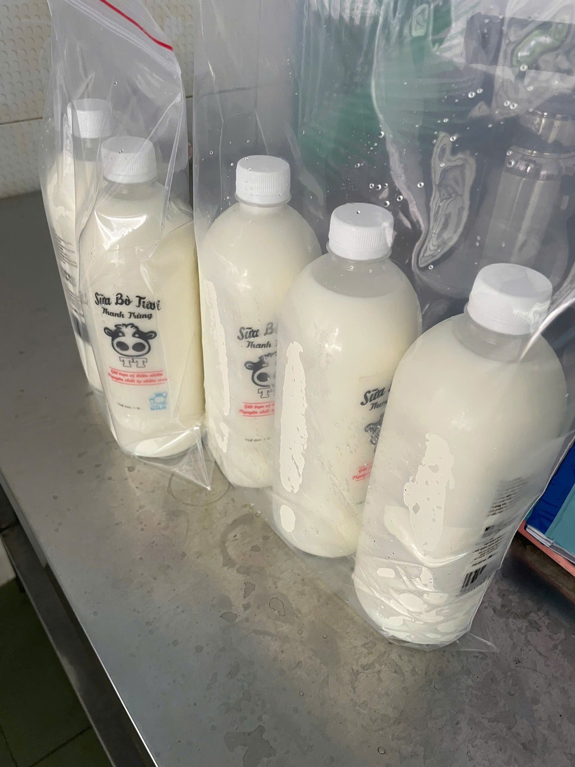 sữa bò tươi thanh trùng