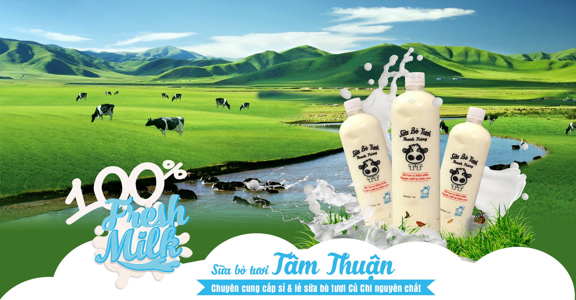 Sữa bò Tâm Thuận