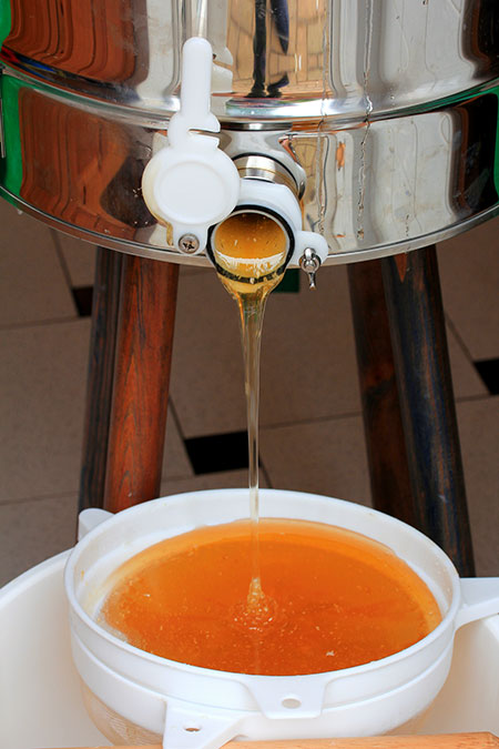 Mật Ong Hoa Nhãn Tây Bắc 700ml - 11