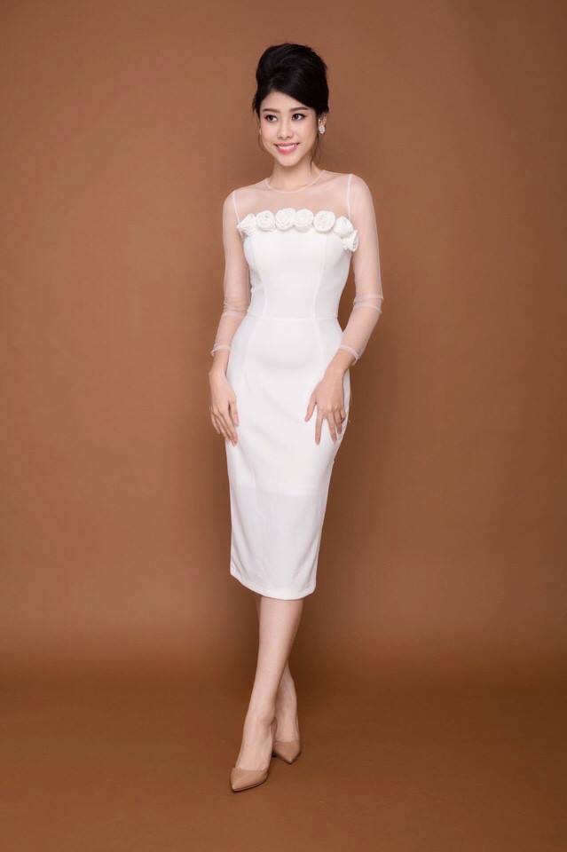 Đầm Body Tay Lưới Kết Hoa Hồng - Trắng _ HA398