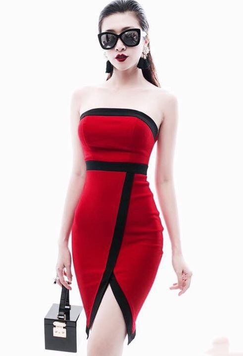 Đầm ôm body thiết kế cúp ngực phối màu sang trọng _ HA269