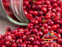 Hạt Tiêu hồng loại bỏ mỡ thừa