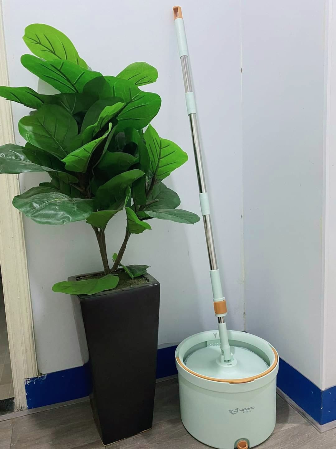 cay lau nha tach nuoc ban Kaiyo