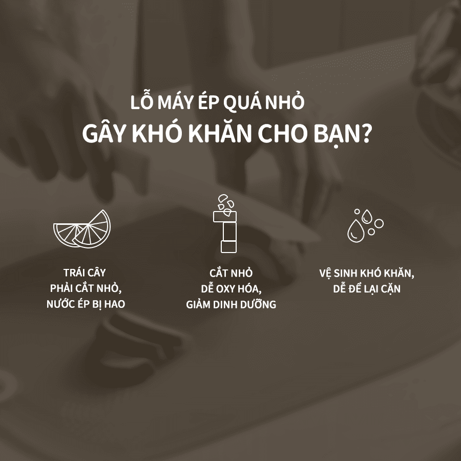 Máy ép chậm Bear SJ-4H01T