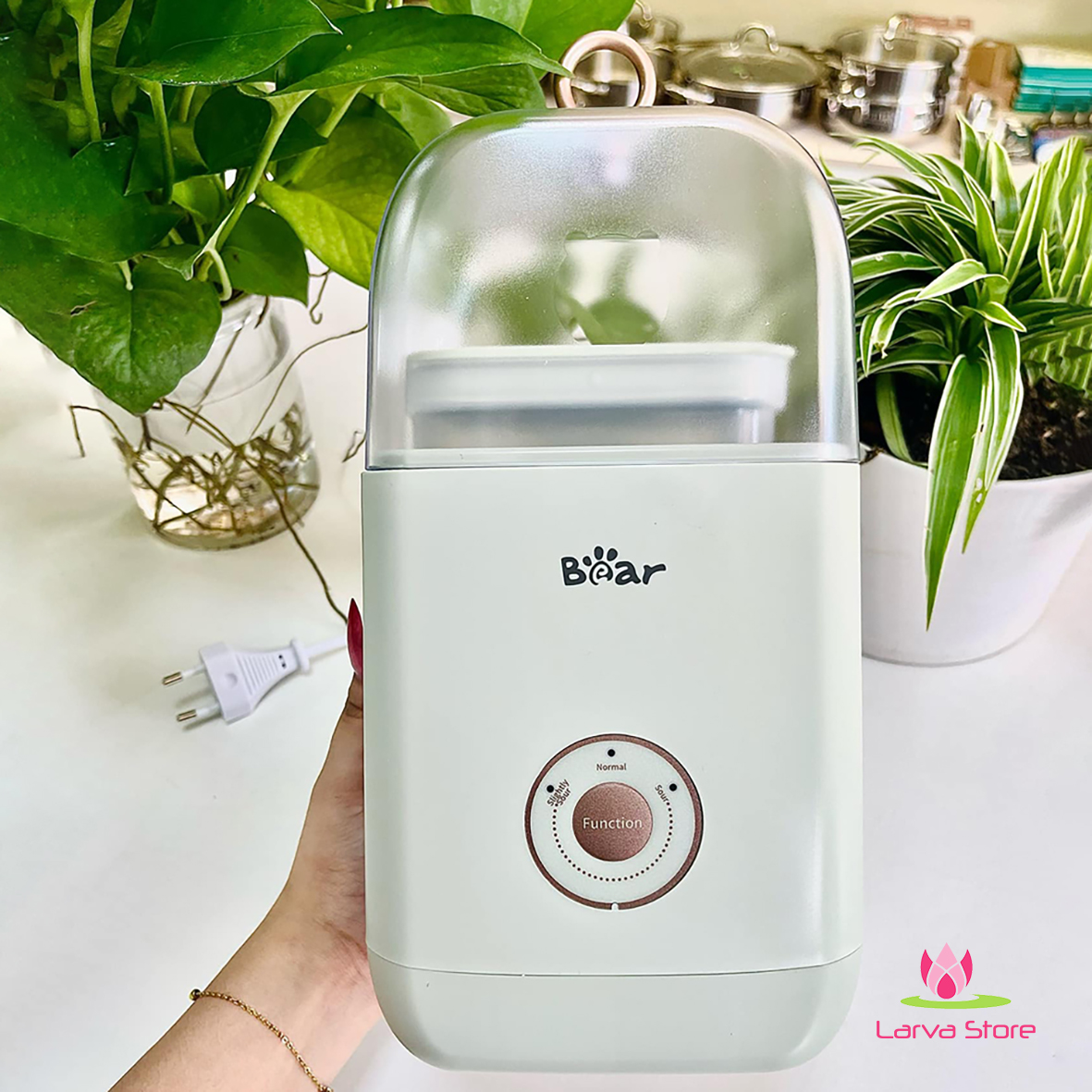 may lam sua chua Bear