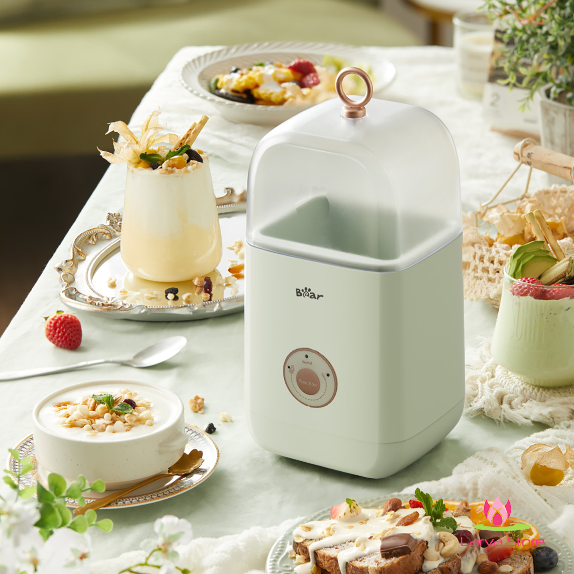 may lam sua chua Bear