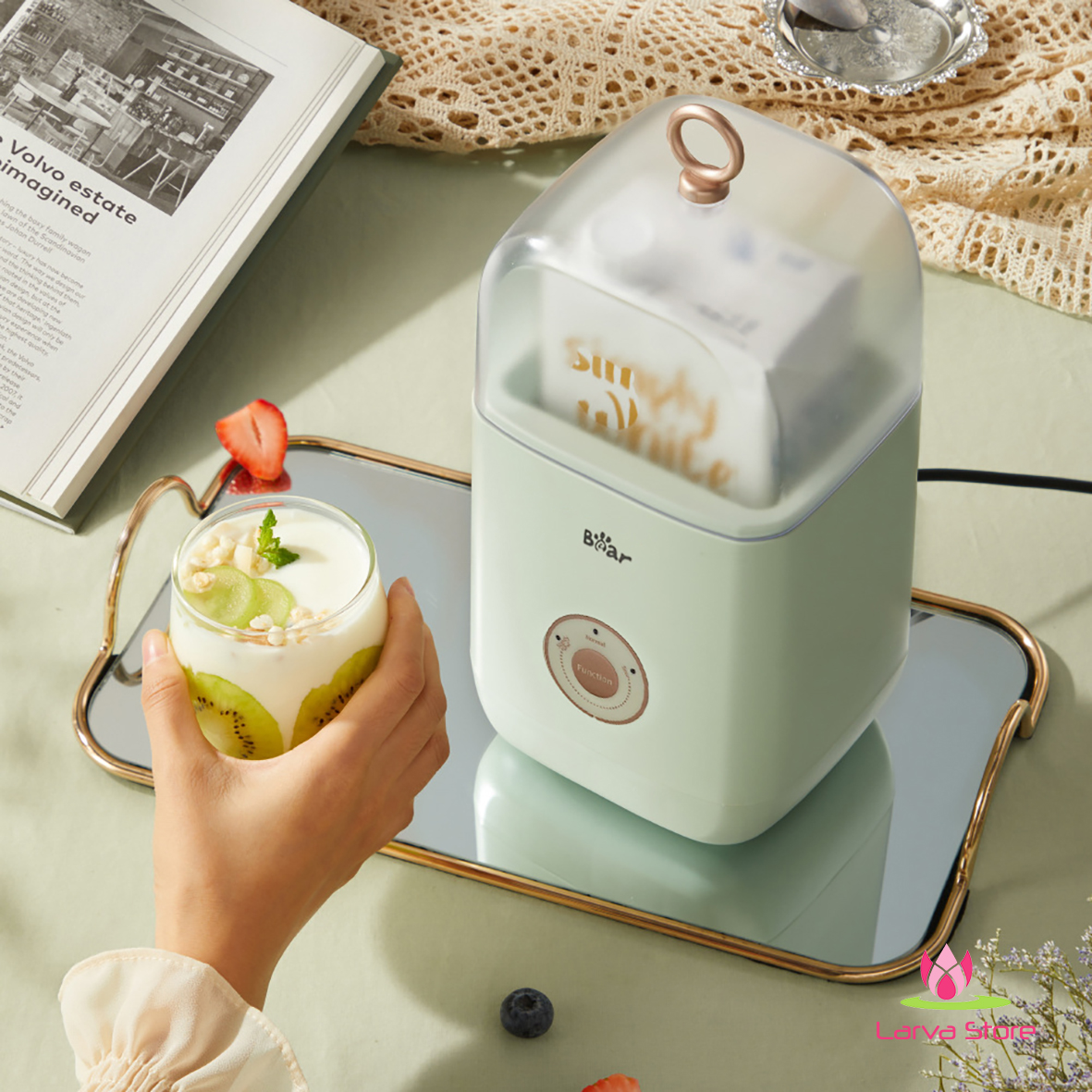 may lam sua chua Bear