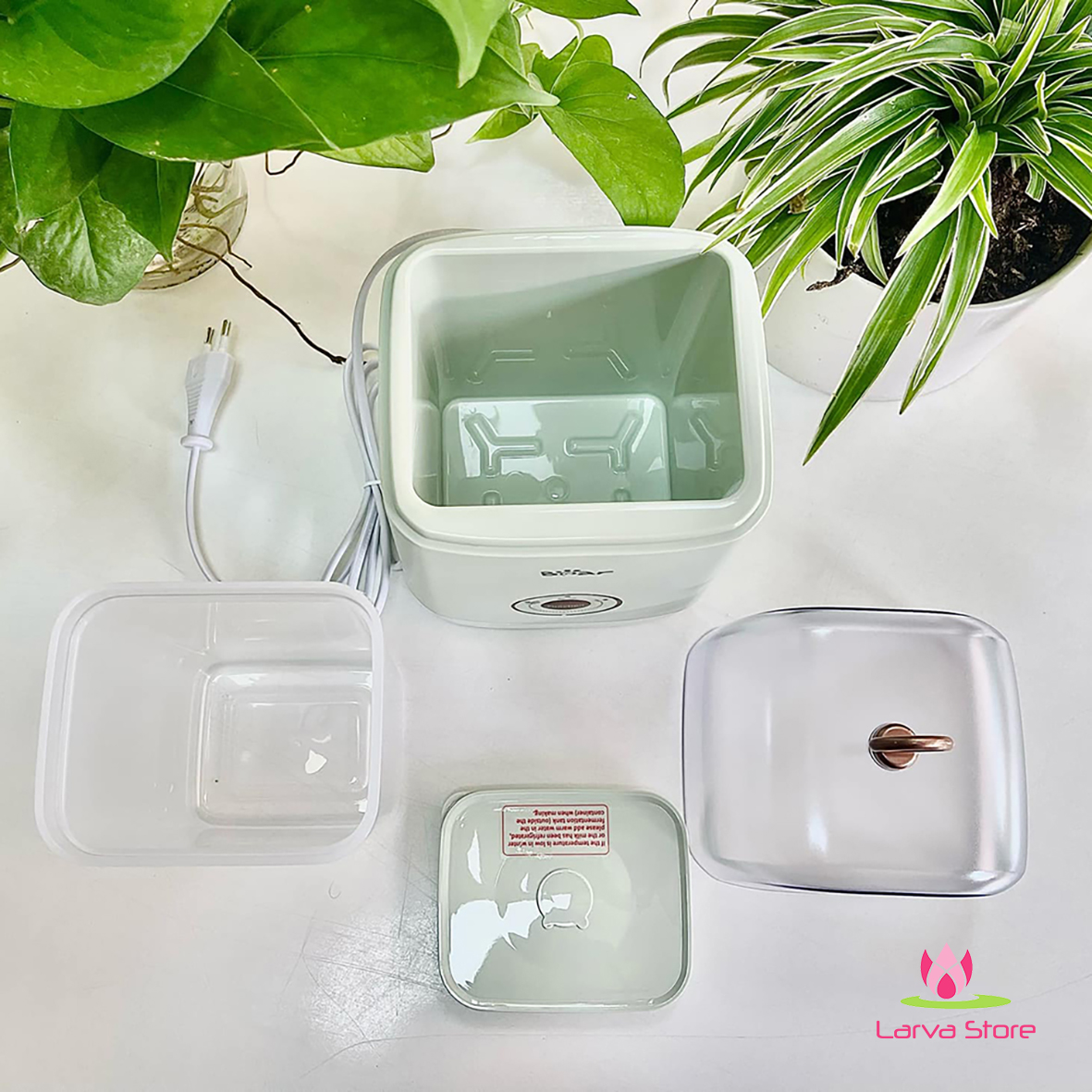 may lam sua chua Bear