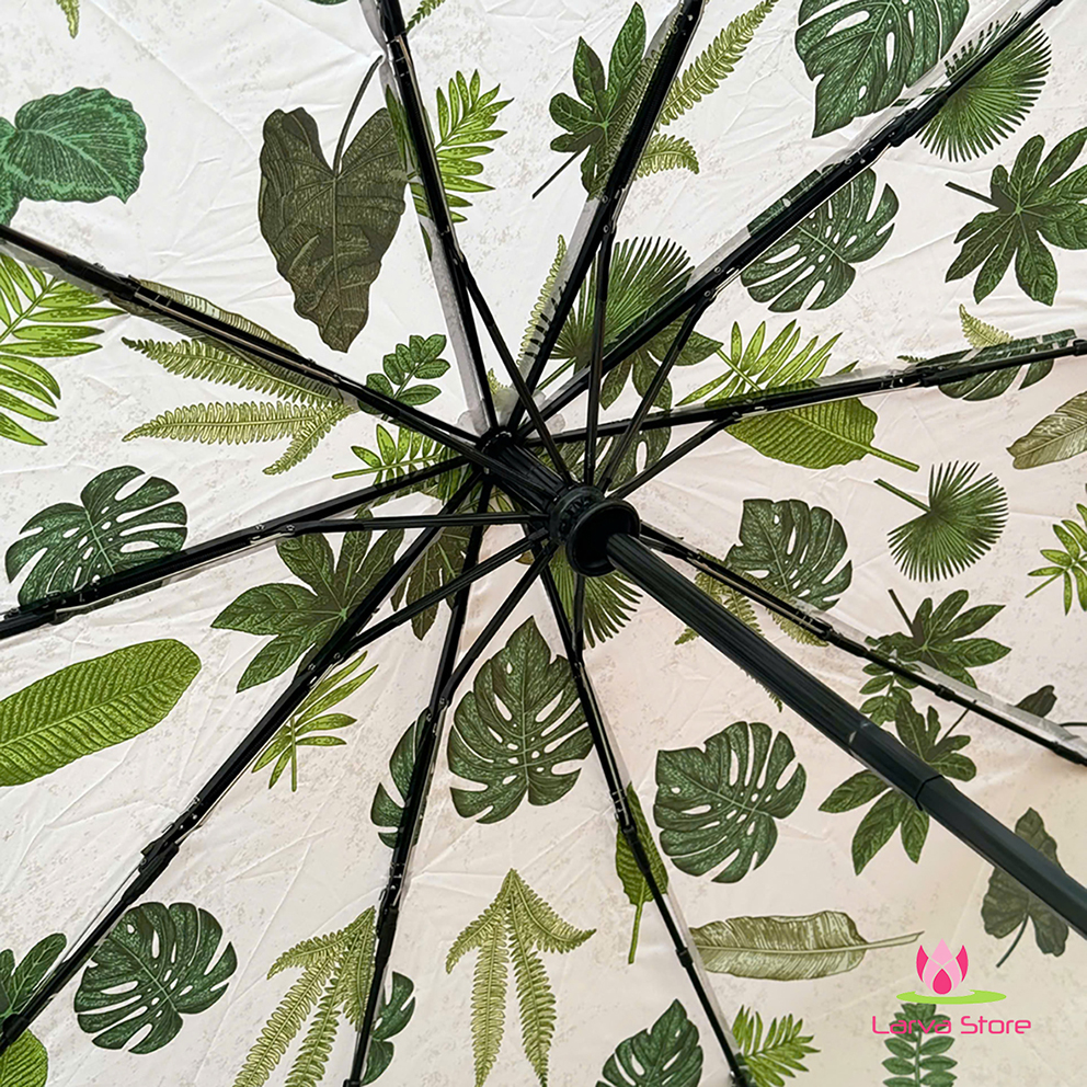 o gap gon thu mo tu dong 10 nan Kaiyo